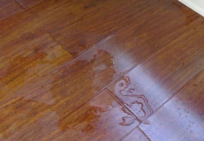 1742353840781265.jpg FphXfHLEBMJesRTIovTqK6tPkz10.jpg